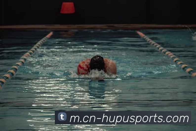 球赛投注平台生态图